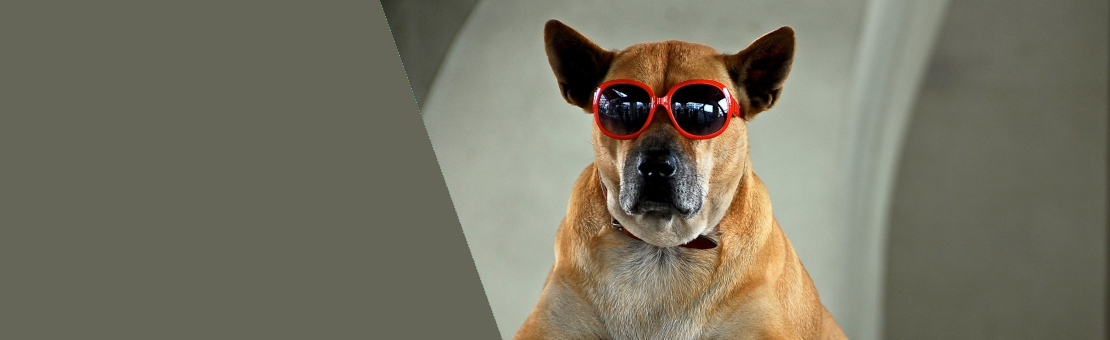 cool-n-responsible